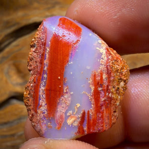 30.9cts - Boulder Pipe Opal Rough Piece. Australian Opal