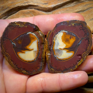 Roadshow Wild Card! 474.3cts - RARE Yowah Nut Partial Crystal Centre Rough Specimen Pair