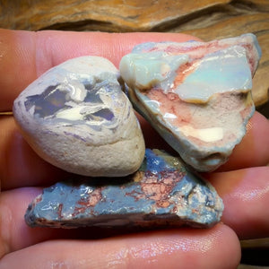 195.8cts - 3x Lightning Ridge Opal Rough Parcel