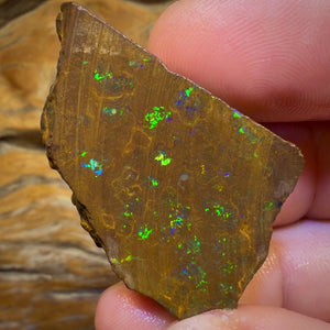 Wildcard! 76.7cts - Australian Boulder Opal Rough Piece. Bubble Band