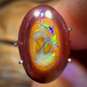 🔨 AUCTION 🔨 3.8cts - Yowah Nut Partial Crystal Centre Opal. Australian Boulder Opal