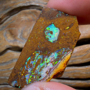 HDW 48.8cts - Yowah Nut Opal Rub. Metallic Colours!