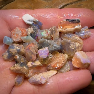 108.3cts - 40x Opalised Fossil Geological Specimens from Lightning Ridge