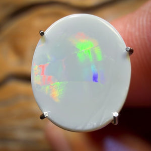 1.7cts - Dark Opal from Lightning Ridge Rolling Harlequin Type