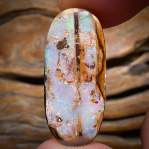 19.3cts - Yowah Nut Opal. Australian Opal