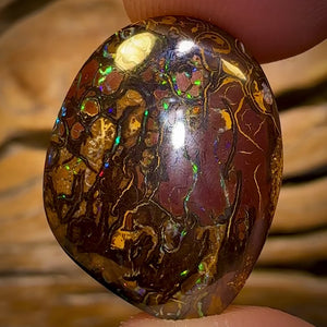 22.3cts - Tribal Queensland Boulder Opal from Koroit