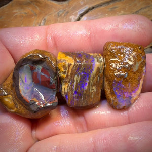 🔨 AUCTION 🔨 154.7cts - 3x Yowah Nut Rough Opal Parcel. Fossil and Kernel!