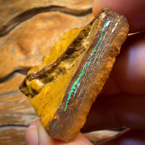 Half Price Card! 124cts - Yowah Opal Rough Piece. Biscuit Band Hit the Bar and Win Big!