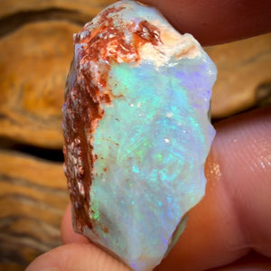 42.8cts - Lightning Ridge Opal Rough Piece