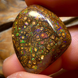 27.3cts - Tan Tribal Queensland Boulder Opal from Yowah. Electric Green