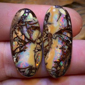 33.1cts - Cathedral AKA Stained Glass Window Australian Boulder Wood Fossil Opal Pair