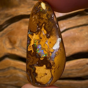 25.8cts - Queensland Boulder Opal from Yowah