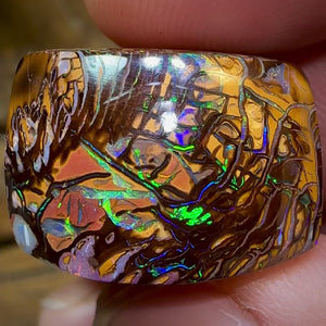 58cts - Yowah Nut Opal Polished Specimen. Tribal Pattern