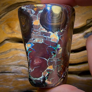 585.5cts - Tribal Koroit Nut Opal. Polished Specimen