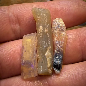 🔨 AUCTION 🔨 No Reserve 23.8cts - 3x Opalised Fossil Geological Specimens from Lightning Ridge