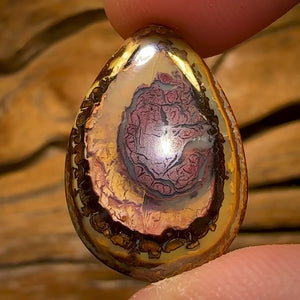 13.7cts - Yowah Nut Kernel Opal. Australian Boulder Opal