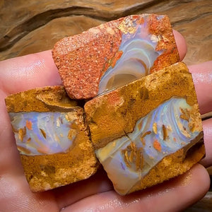 323.9cts - 3x Queensland Boulder Pipe Opal Rough Parcel