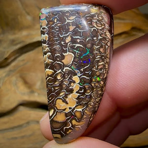 72.9cts - Yowah Nut Opal. Top Tribal Pattern