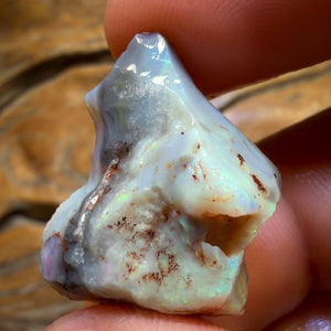 23.1cts - Lightning Ridge Dark Opal Rough Piece