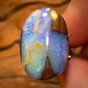 🔨 AUCTION 🔨 “Blue Beetle” 8.2cts - Australian Boulder Opal from Yowah