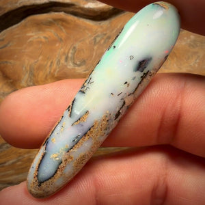 43.1cts - Large Solid Australian Boulder Pipe Opal