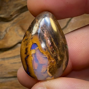 Australian 41.3cts - Yowah Nut Opal