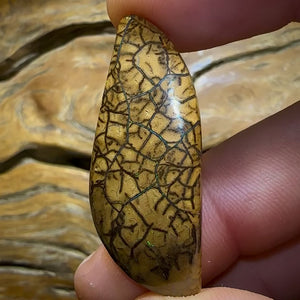 Auction Fall-Through = Your Gain! 🔥 Now More Than 50% Off RRP 🚨 25.9cts - Yowah Nut Tribal Opal