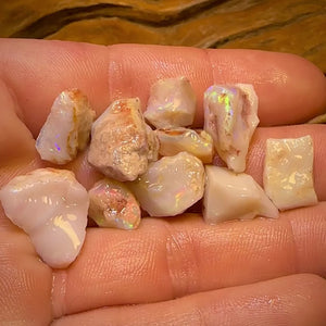 48.7cts - 9x South Australian Rare Mintabie Opal Rough Parcel