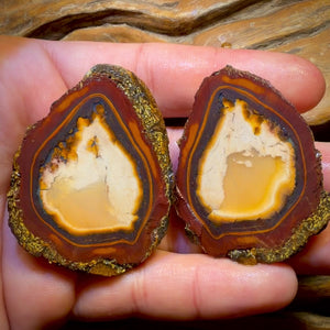 Bargain Card! 353.5cts - RARE Yowah Nut Partial Crystal Centre Rough Specimen Pair