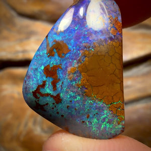 🔨 AUCTION 🔨 29cts - Australian Boulder Opal from Yowah