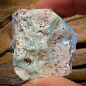186.1cts - Large Lightning Ridge Dark Opal Rough Piece