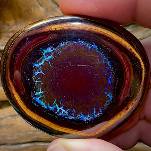 212.3cts -  “Mystic Eye”Polished Yowah Nut Opal Specimen