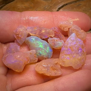 63.3cts - 12x Opalised Fossil Geological Specimens from Lightning Ridge