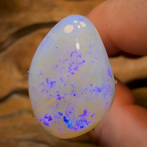 Auction Fall-Through = Your Gain! 🔥 Now More Than 50% Off RRP 🚨 Big 13.1cts - Lightning Ridge Crystal Opal