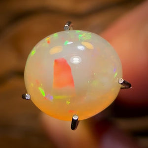 “Golden Dome” 1.74cts - Unique South Australian Golden Crystal Opal Great High Dome Cut