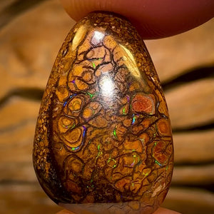11.7cts - Tribal Queensland Boulder Opal from Yowah
