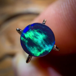 Wildcard! 0.46cts - Australian Boulder Opal Doublet