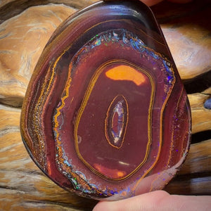 355.1cts - Massive Tribal Australian Boulder Opal Polished Specimen. Double Sided Bargain $1/ct