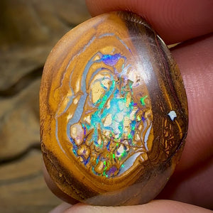 15.2cts - Yowah Nut Opal. Aquatic Pattern Partially formed Kernel Center .