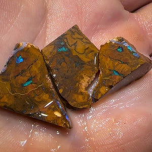 Australian 59.2cts - 3 x Boulder Opal Rough Rub Preforms