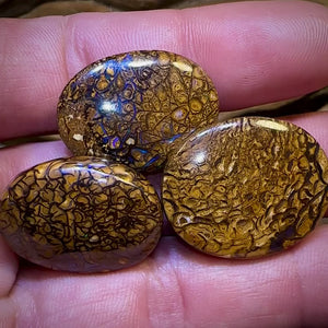 77.5cts - 3x Loose Queensland Boulder Opals. Wholesale Bargain Parcel