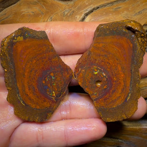 Wildcard! 169.2cts - Tribal Yowah Nut Opal Rough Pair. Australian Opal