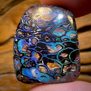47.5cts - Top Tribal Koroit Nut Opal. Australian Opal