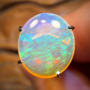 1.6cts - Queensland Boulder Crystal Opal