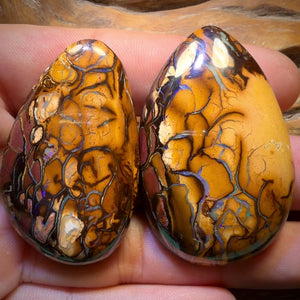 208.1cts - “Partners”Tribal Queensland Boulder Opal Pair