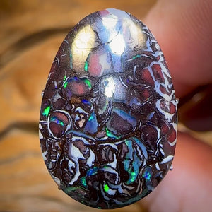13.7cts - Top Tribal Black Boulder Opal Picture Stone from Koroit