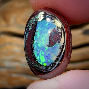 11.8cts - “Collectors Prize” Yowah Nut Kernel Opal. Australian Boulder Opal