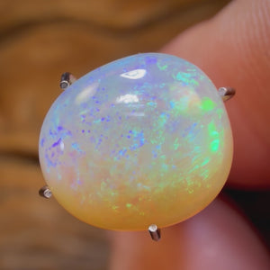🔨 AUCTION 🔨 2.95cts - Golden Bean Lightning Ridge Crystal Opal