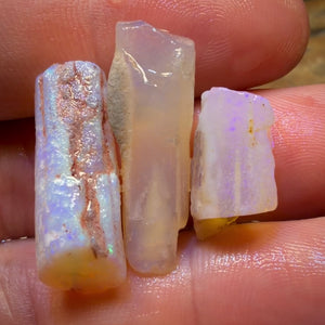 30.7cts - 3x Opalised Belemnite Geological Specimens from South Australia