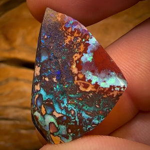 38.9cts - Yowah Nut Tribal Opal Rub